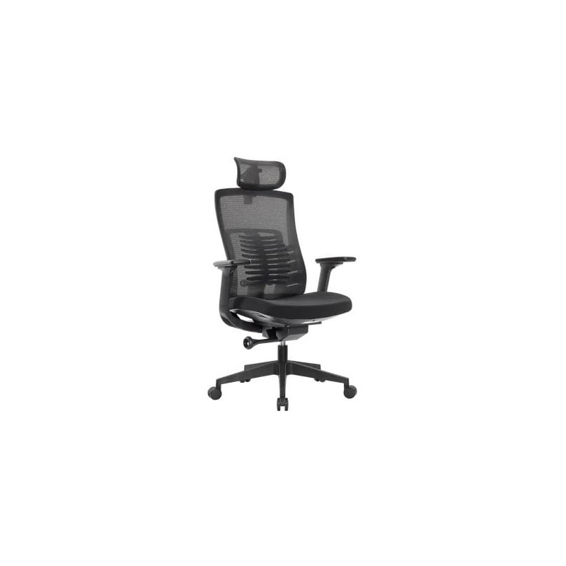 Fantech OC1 Ergonomic Office Chair With Adjustable Lumbar - Black