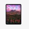Apple 11" iPad Pro Wi-Fi M5 256GB Standard Glass - Space Black