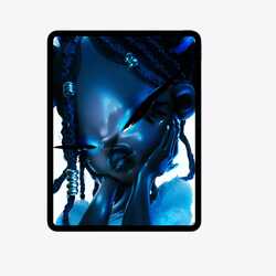 Apple 11" iPad Pro Wi-Fi M5 256GB Standard Glass - Space Black