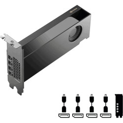 nVidia RTX PRO 2000 Blackwell 8GB Graphics Card