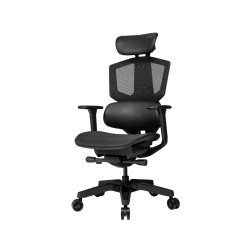 Ergotron LX Desk Dual Direct Arm Matte - Black
