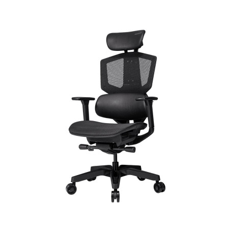 Ergotron LX Desk Dual Direct Arm Matte - Black